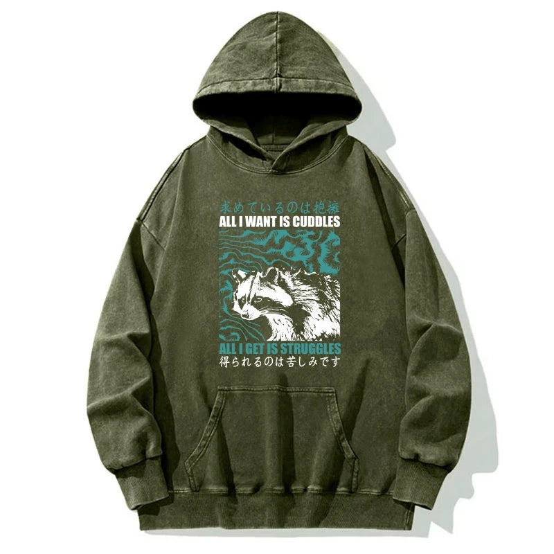 All I Get Is Struggles Washed Hoodie