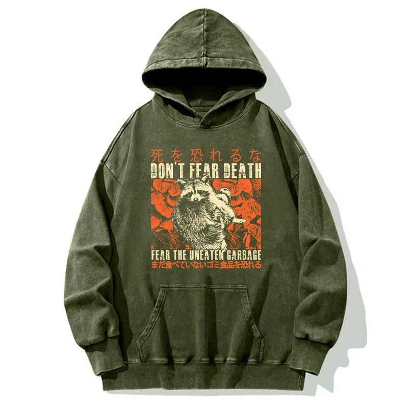 Timid Raccoon Japanese Washed Hoodie