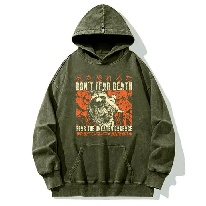 Timid Raccoon Japanese Washed Hoodie