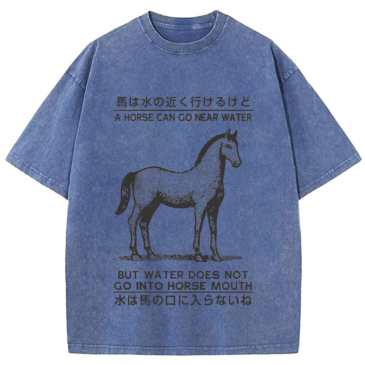 Funny Horse And Water Saying Washed Crew Neck T-Shirt