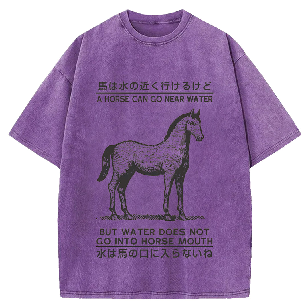 Funny Horse And Water Saying Washed Crew Neck T-Shirt