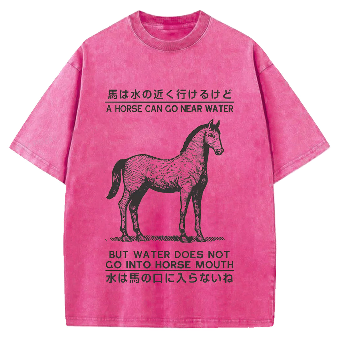 Funny Horse And Water Saying Washed Crew Neck T-Shirt