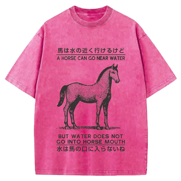 Funny Horse And Water Saying Washed Crew Neck T-Shirt