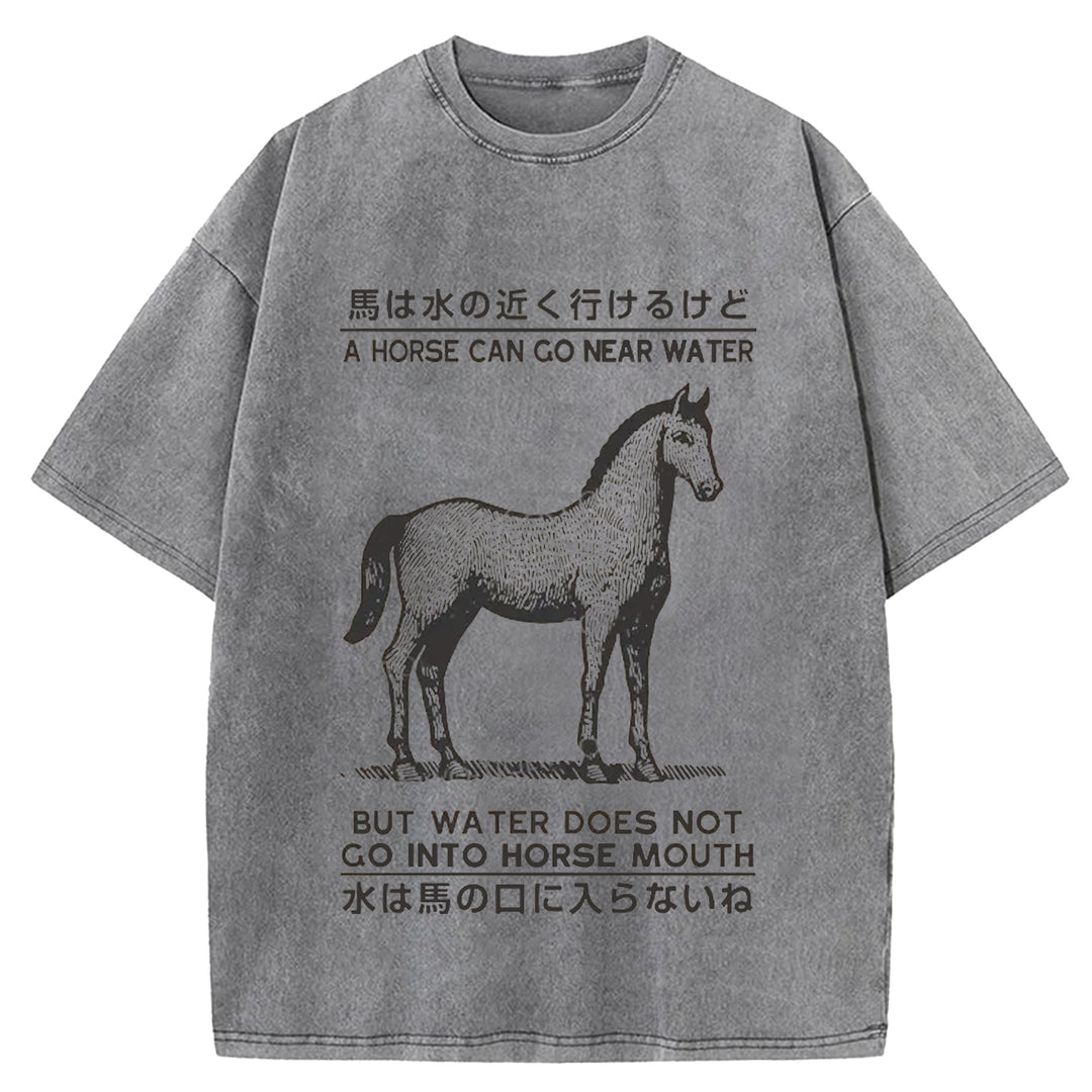 Funny Horse And Water Saying Washed Crew Neck T-Shirt