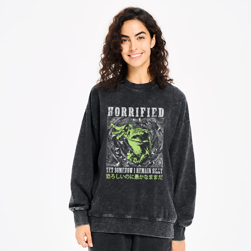Silly Frog Japanese Washed Sweatshirt