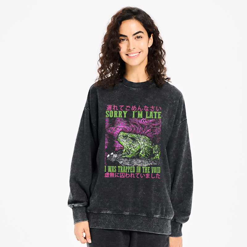 A Frog In Distress Japanese Washed Sweatshirt