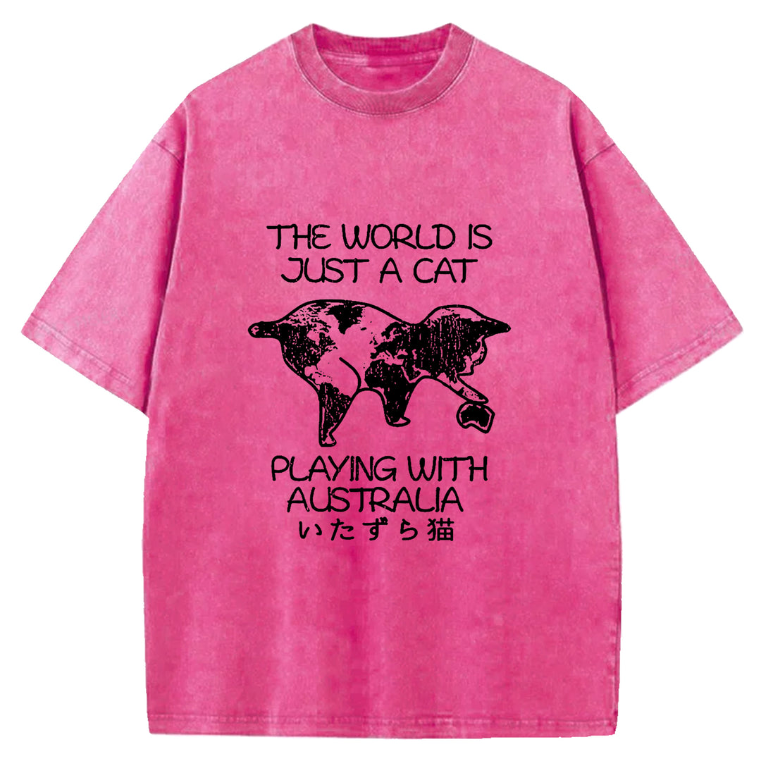 Funny World With Cat Japan Washed Crew Neck T-Shirt