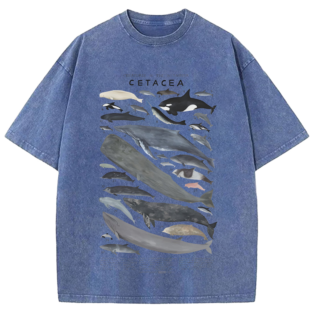 Creatures Of The Infraorder Cetacea Washed Crew Neck T-Shirt
