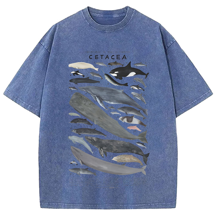 Creatures Of The Infraorder Cetacea Washed Crew Neck T-Shirt