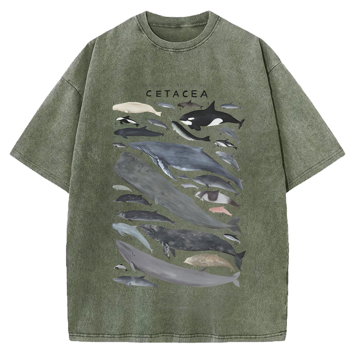 Creatures Of The Infraorder Cetacea Washed Crew Neck T-Shirt