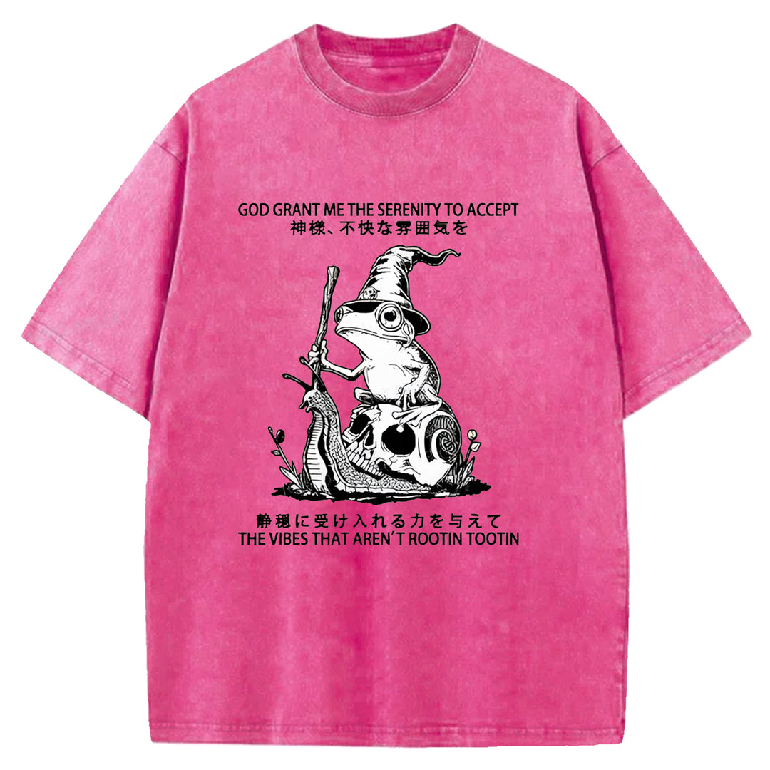 God Grant Me The Serenity Washed Crew Neck T-Shirt