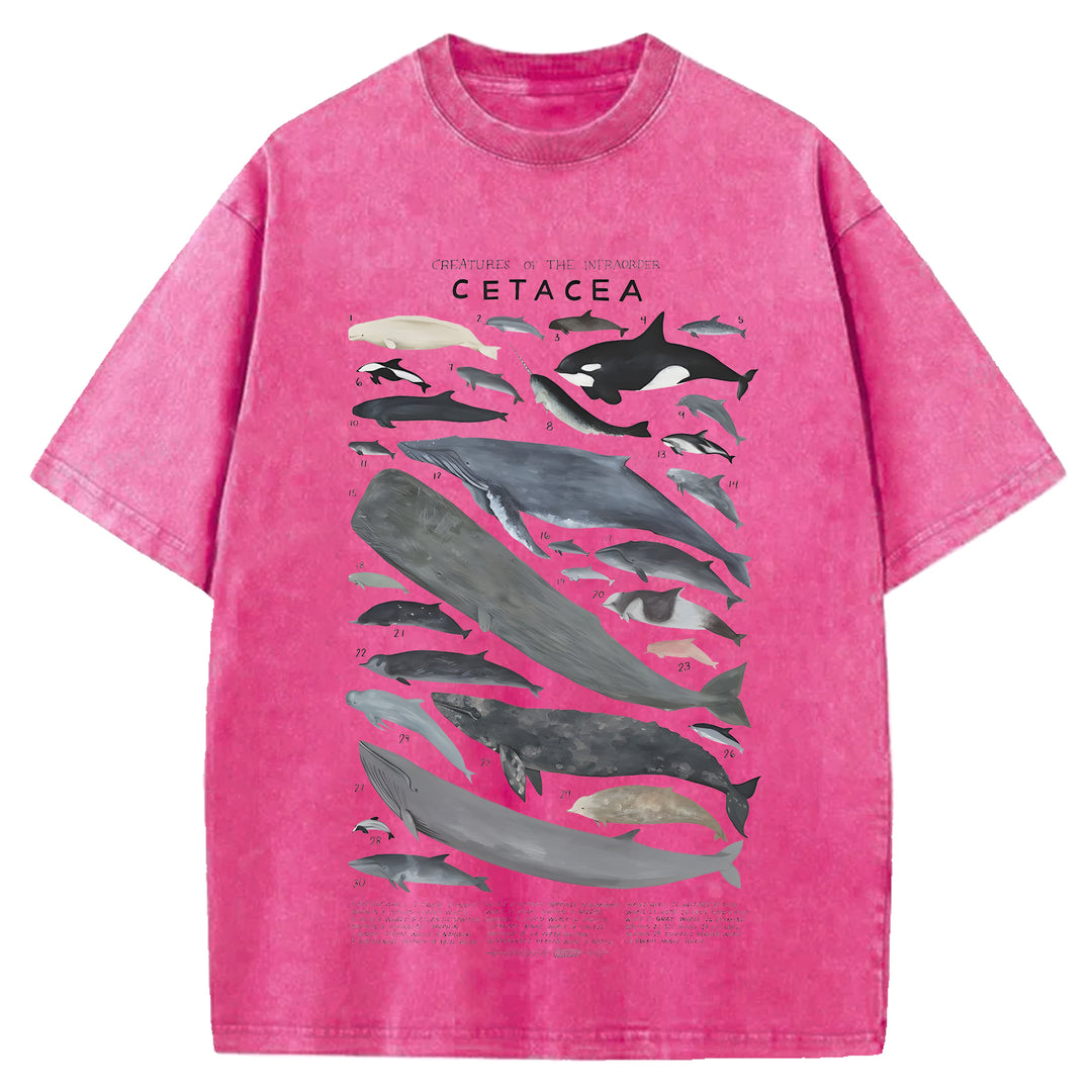 Creatures Of The Infraorder Cetacea Washed Crew Neck T-Shirt