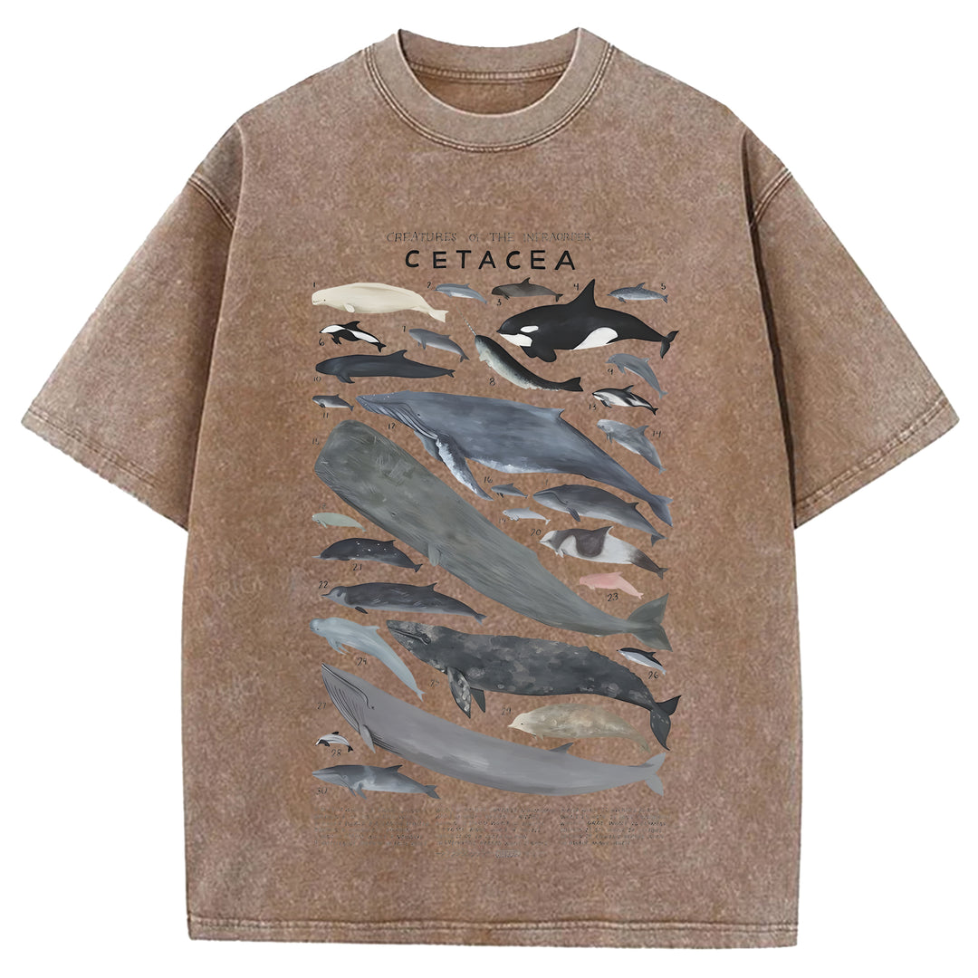 Creatures Of The Infraorder Cetacea Washed Crew Neck T-Shirt