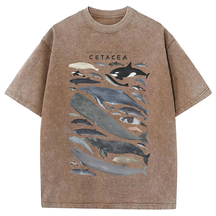 Creatures Of The Infraorder Cetacea Washed Crew Neck T-Shirt