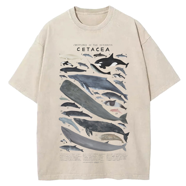 Creatures Of The Infraorder Cetacea Washed Crew Neck T-Shirt