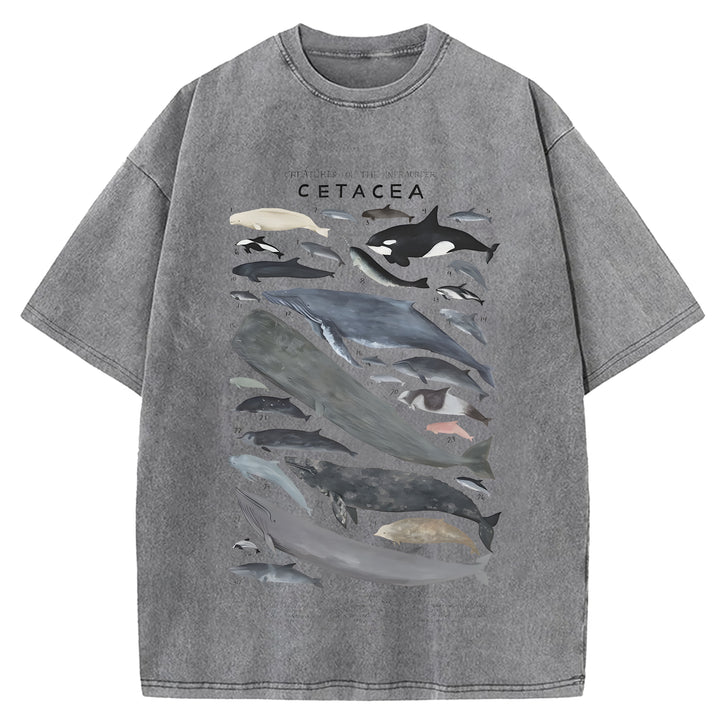 Creatures Of The Infraorder Cetacea Washed Crew Neck T-Shirt