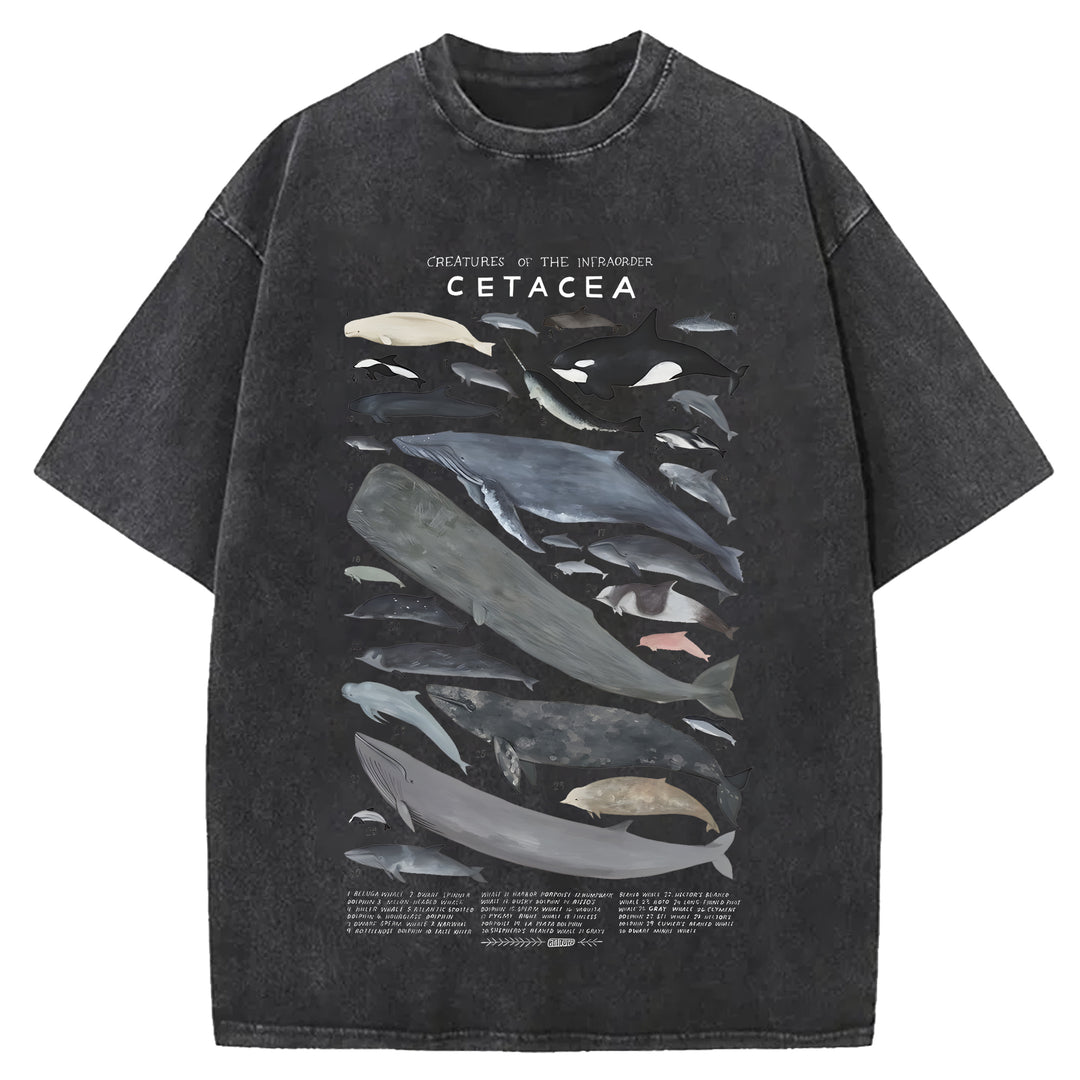 Creatures Of The Infraorder Cetacea Washed Crew Neck T-Shirt