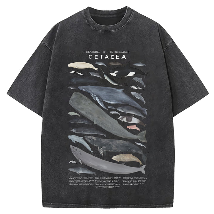 Creatures Of The Infraorder Cetacea Washed Crew Neck T-Shirt