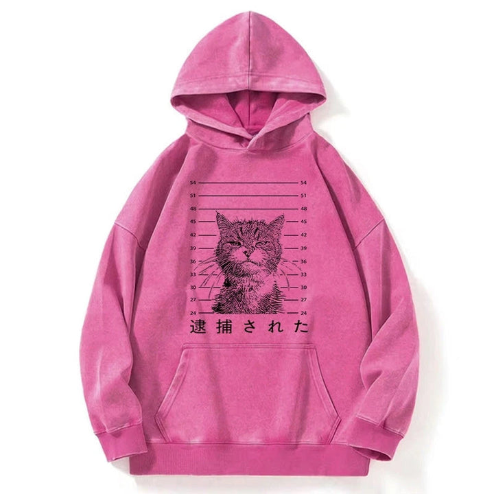 Cat That Was Arrested Washed Hoodie