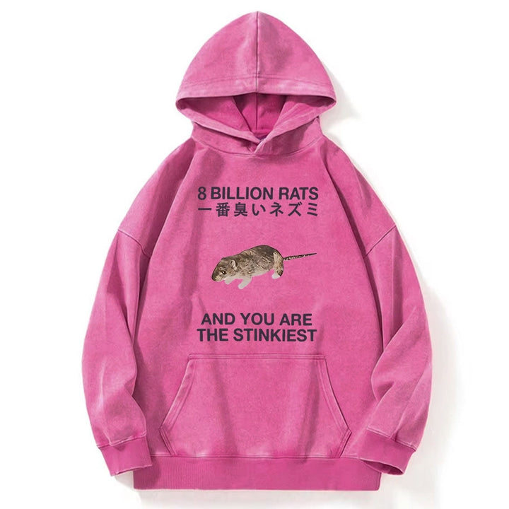 World's Stinkiest Rat Washed Hoodie