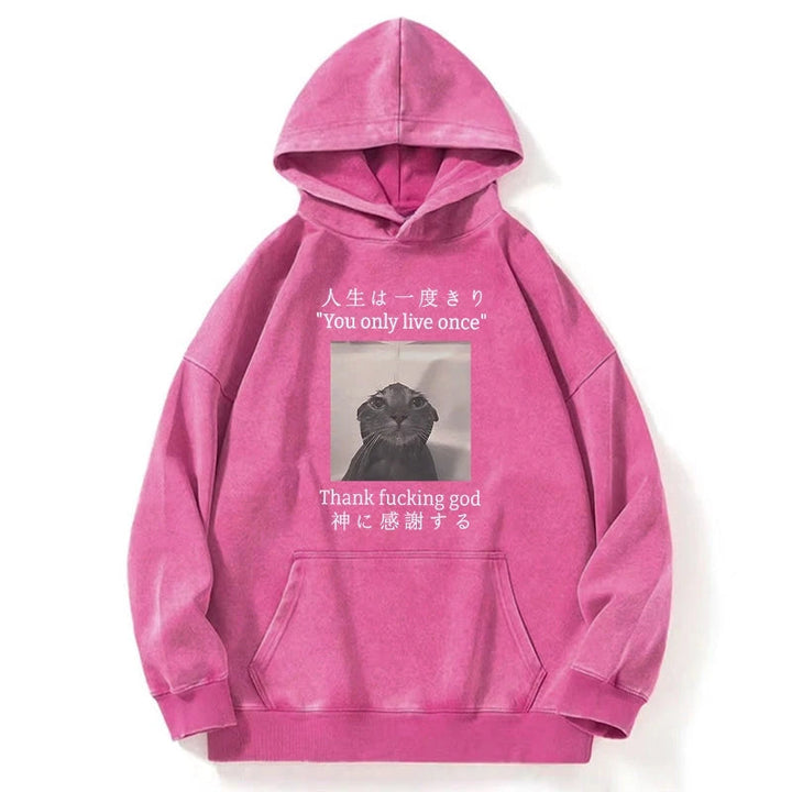 Funny Melancholy Cat Washed Hoodie