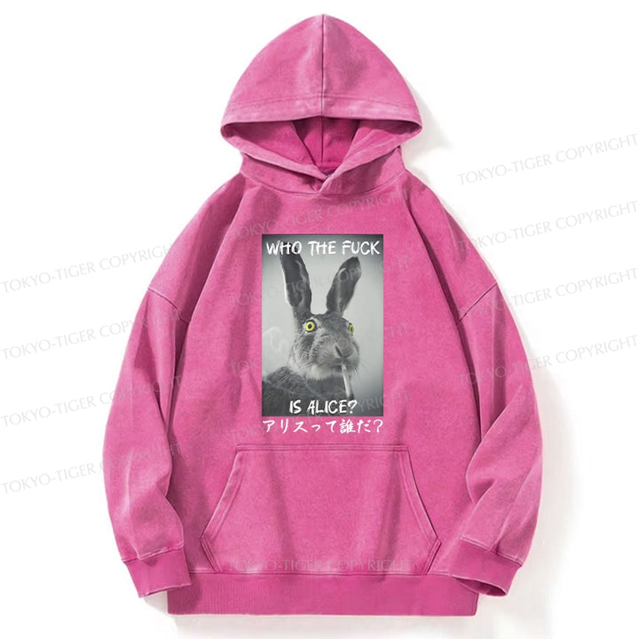 Who Is Alice? Washed Hoodie