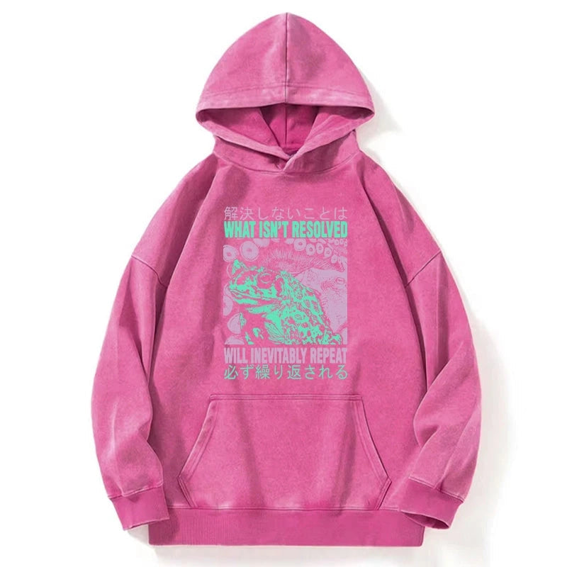 What Ist Resolved Forg Washed Hoodie