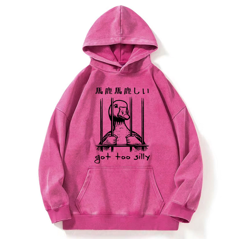 Got Too Silly Washed Hoodie