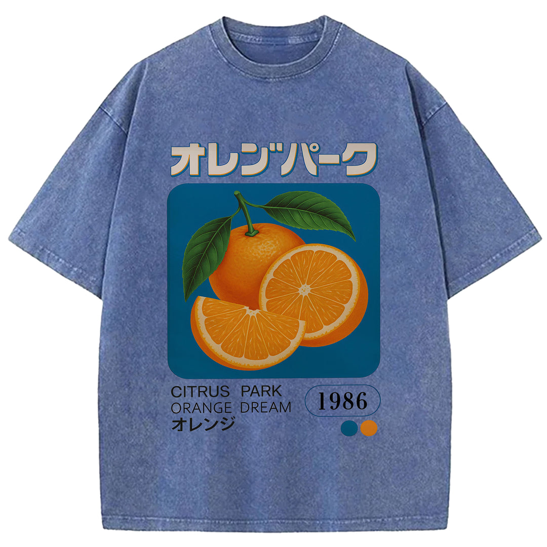Citrus Park Orange Dream 1986 Washed Crew Neck T-Shirt