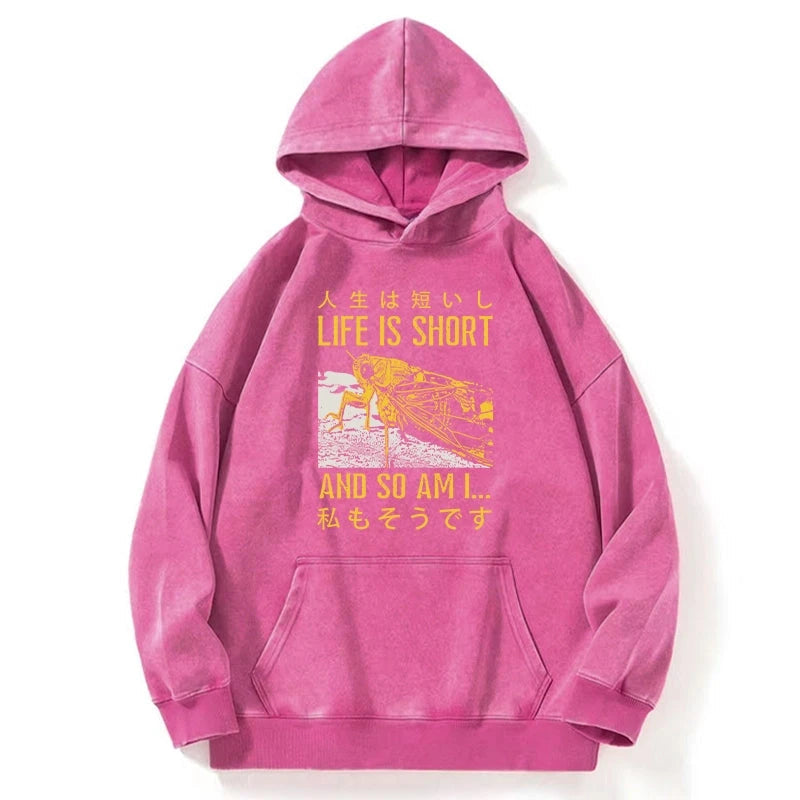 A Grasshopper With A Short Life Washed Hoodie
