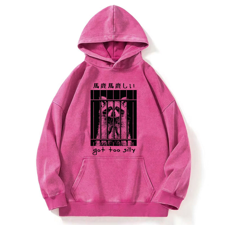 Raccoon Got Too Silly Washed Hoodie