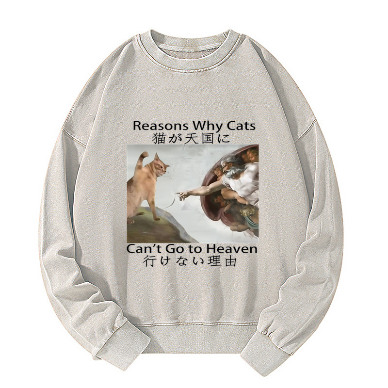 Naughty Cat Can't Go To Heaven Washed Sweatshirt