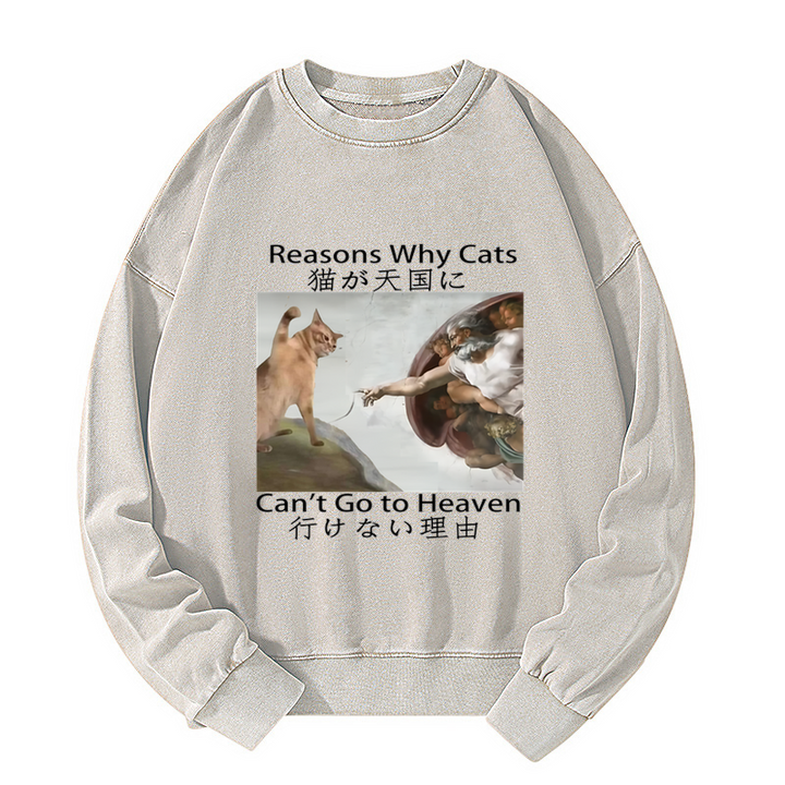 Naughty Cat Can't Go To Heaven Washed Sweatshirt