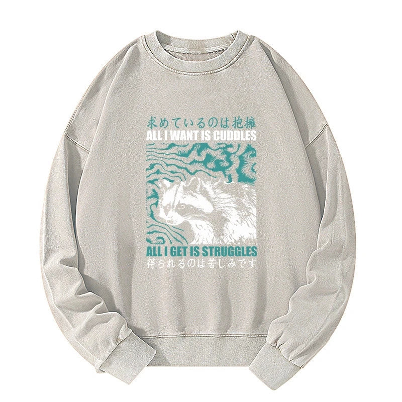 All I Get Is Struggles Washed Sweatshirt