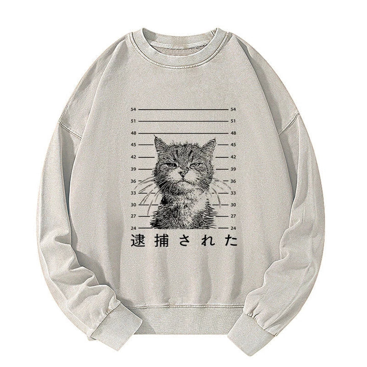 Cat That Was Arrested Washed Sweatshirt