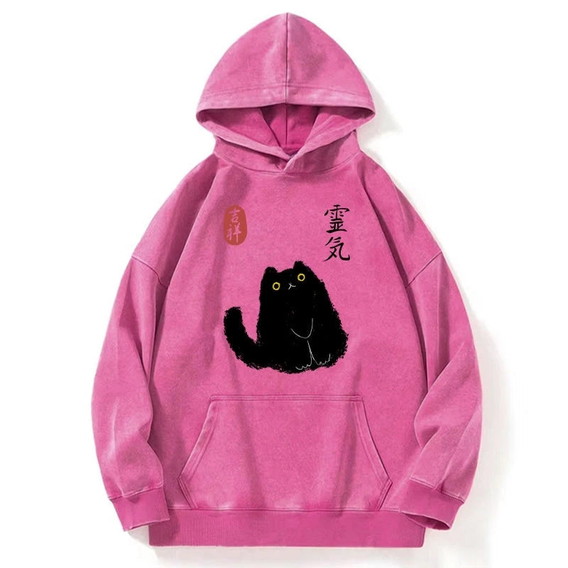 Black Civet Cat Washed Hoodie