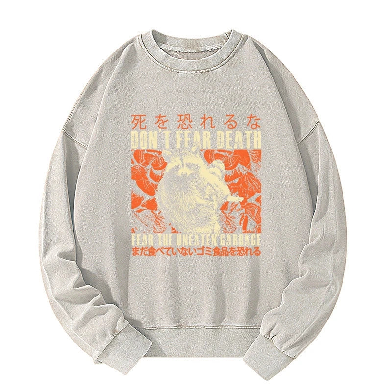 Timid Raccoon Japanese Washed Sweatshirt