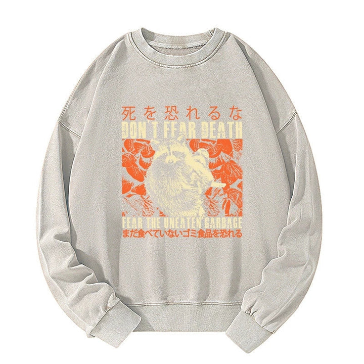 Timid Raccoon Japanese Washed Sweatshirt