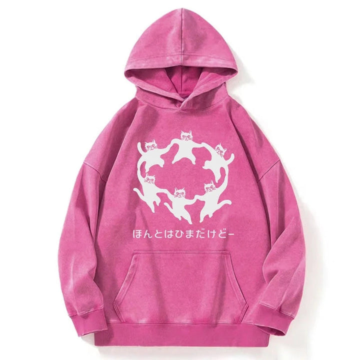 Leisure Cats Japanese Washed Hoodie