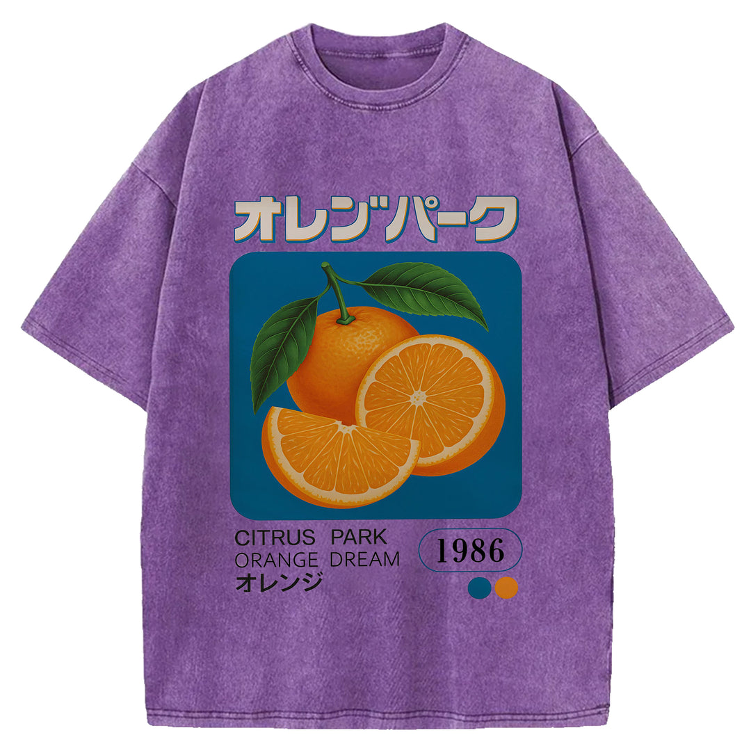 Citrus Park Orange Dream 1986 Washed Crew Neck T-Shirt