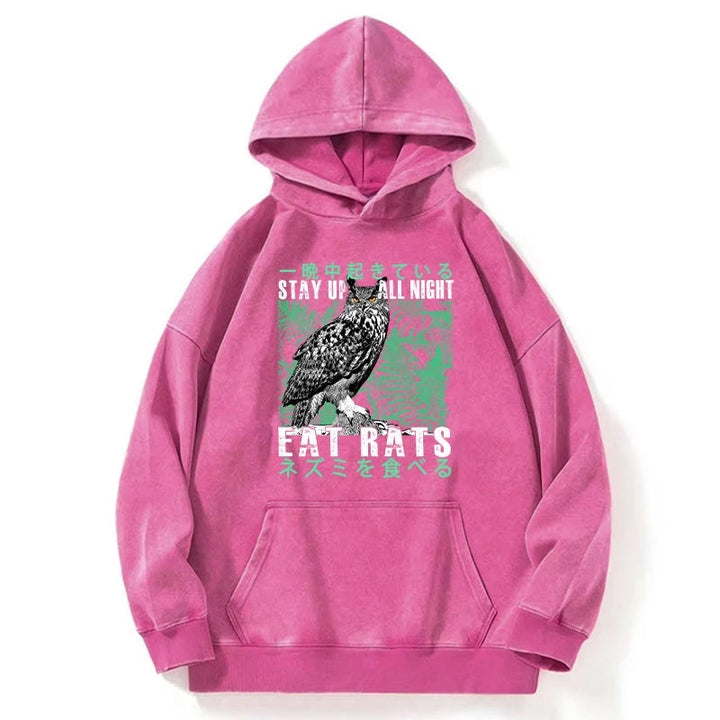 Owls Prey On Rats At Night Washed Hoodie