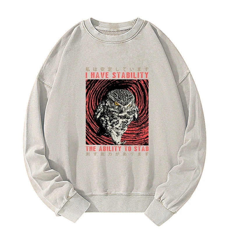 I Have Stability Owl Washed Sweatshirt
