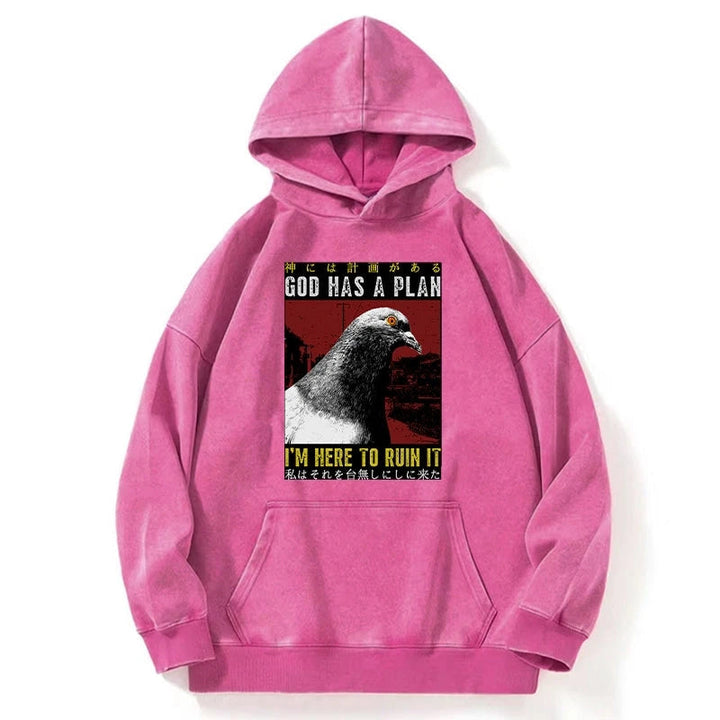 Pigeons That Want To Break The Plan Washed Hoodie