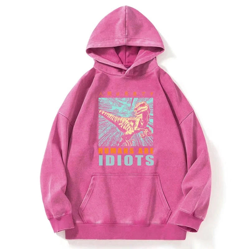 Mocking Dinosaurs Japanese Washed Hoodie