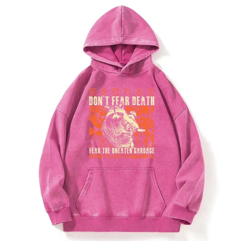 Timid Raccoon Japanese Washed Hoodie