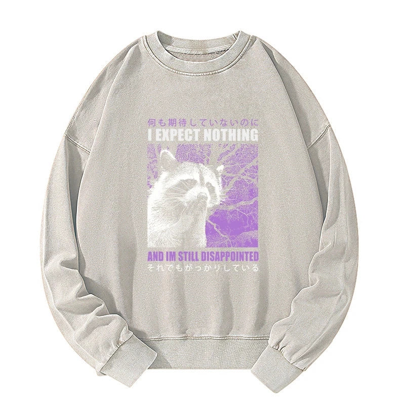 Disappointed Raccoon Japanese Washed Sweatshirt