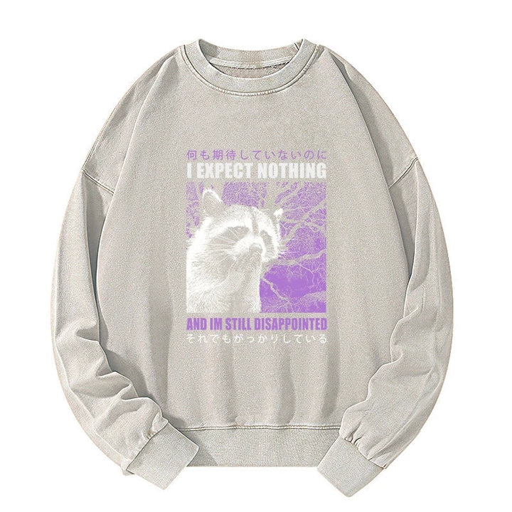 Disappointed Raccoon Japanese Washed Sweatshirt
