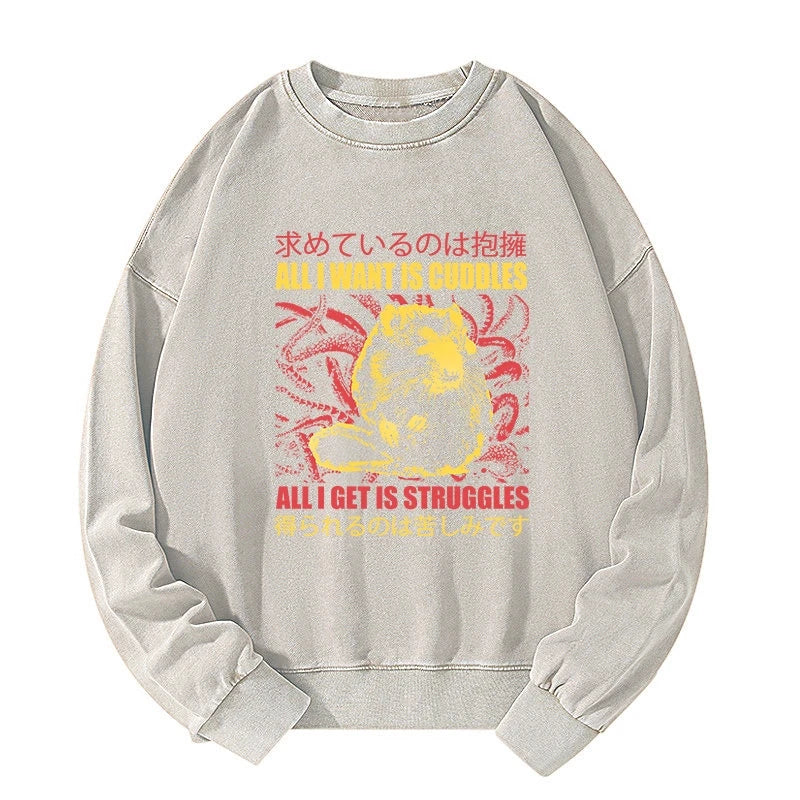 All I Want Is Cuddles Washed Sweatshirt