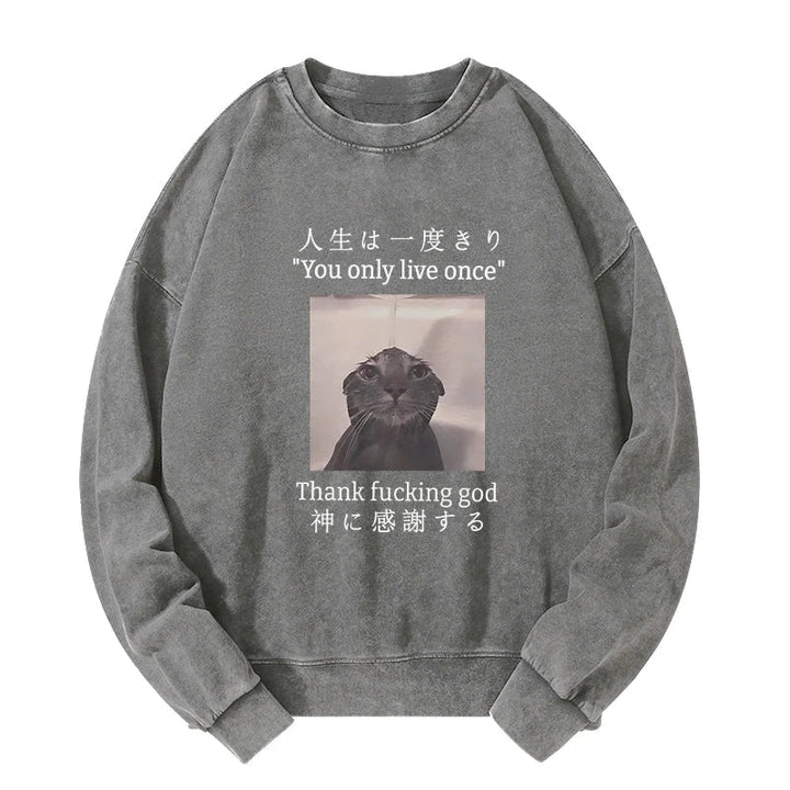 Funny Melancholy Cat Washed Sweatshirt