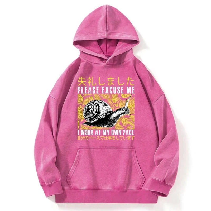 Snails That Work According To Their Own Rules Washed Hoodie